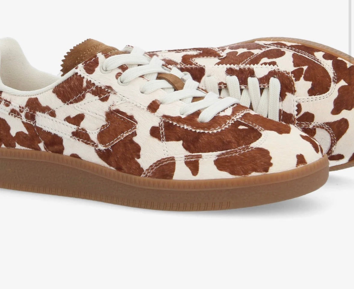 Baskets SCHMOOVE Sheffield Jogger Marron